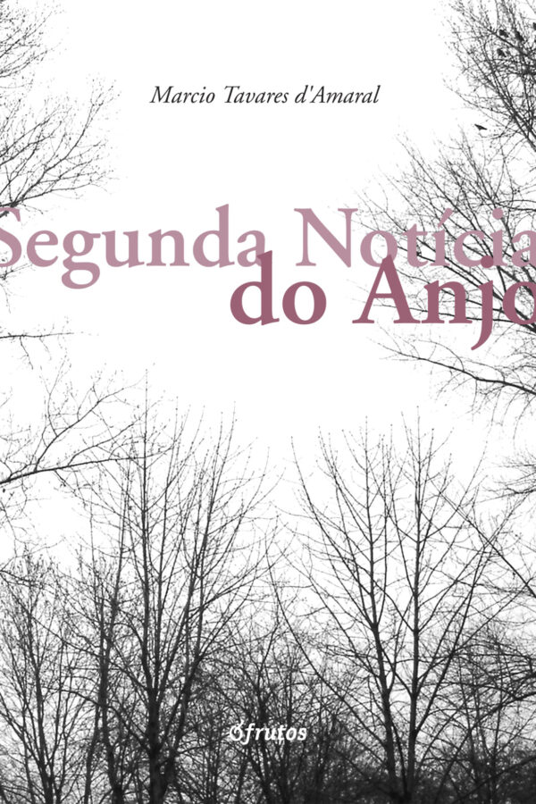Segunda Notícia do Anjo